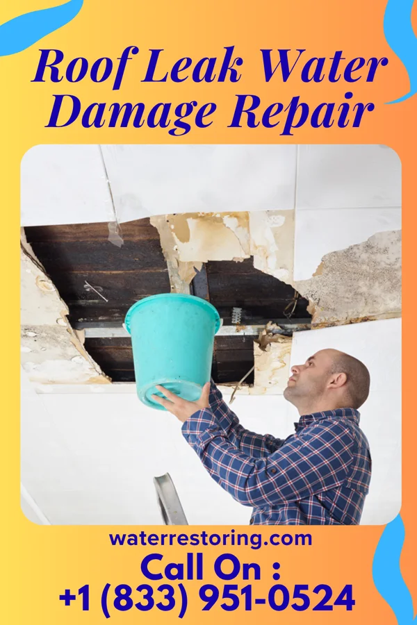 Roof Leak Water Damage Repair in Brainard, NE
