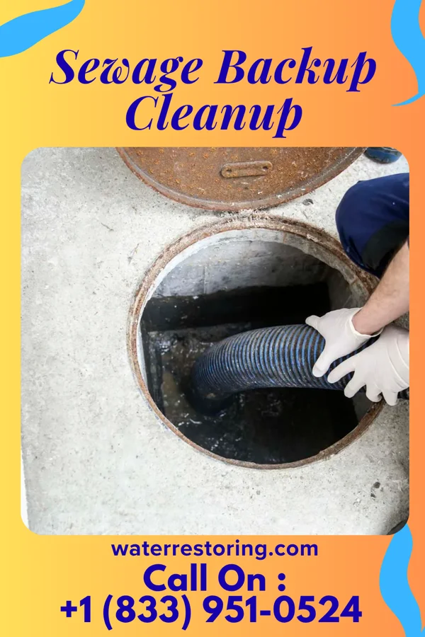 Sewage Backup Cleanup in Brainard, NE