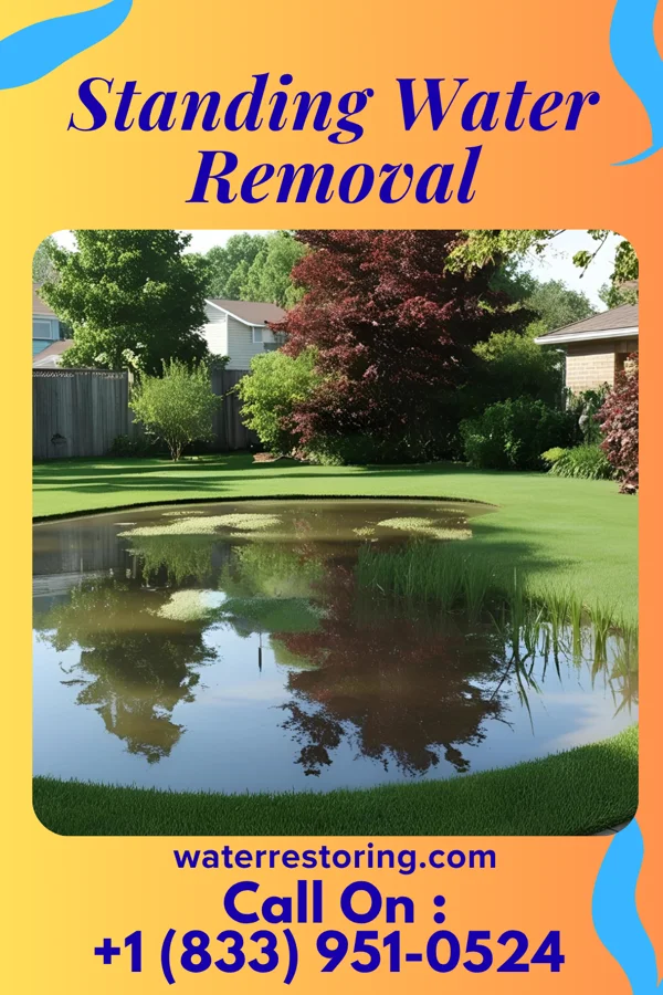 Standing Water Removal in Brainard, NE